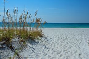 Sand Dollar W-103