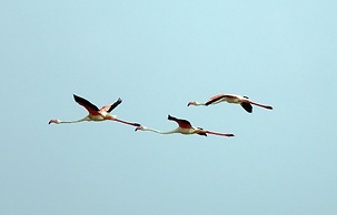 Koh Lanta Amantra Lake View Resort