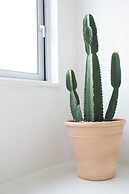 Athens Penthouse Boutique Rooms