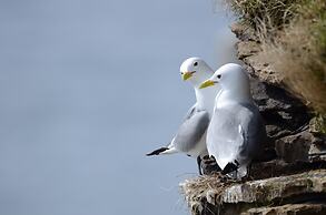 Ekker Island Arctic Lodge
