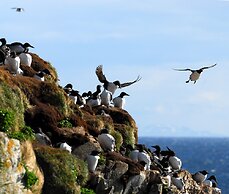 Ekker Island Arctic Lodge