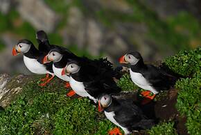 Ekker Island Arctic Lodge