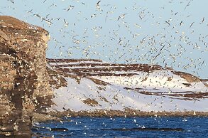 Ekker Island Arctic Lodge
