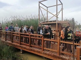 Mare Mare Thalassa A