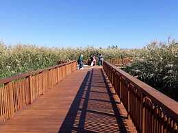 Mare Mare Thalassa A