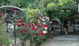 Mare Mare Thalassa A