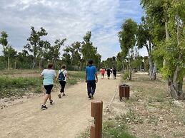 Mare Mare Thalassa A