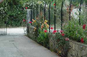 Mare Mare Thalassa A