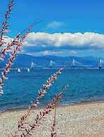 Mare Mare Thalassa A