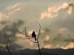 Eco-Cabañas Altozano Nimaima