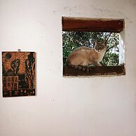 Eco-Cabañas Altozano Nimaima