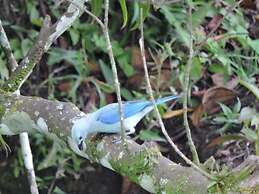 Eco-Cabañas Altozano Nimaima