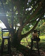 Eco-Cabañas Altozano Nimaima