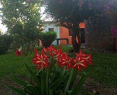 Eco-Cabañas Altozano Nimaima