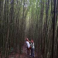 Eco-Cabañas Altozano Nimaima