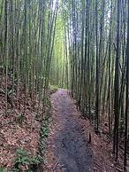 Eco-Cabañas Altozano Nimaima