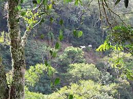 Eco-Cabañas Altozano Nimaima