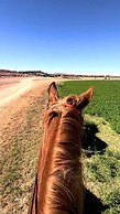 Résidence Ferme Habib