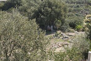 Aval Riviera