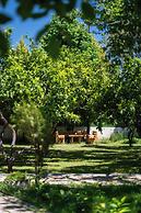 İdavilla Bungalov & Bahce