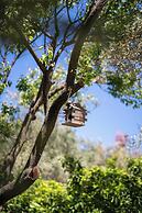 İdavilla Bungalov & Bahce