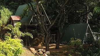 Tree Nature Resort