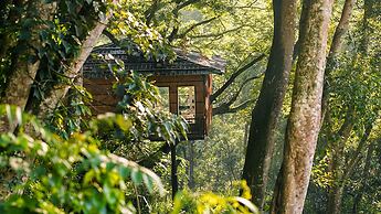 Tree Nature Resort