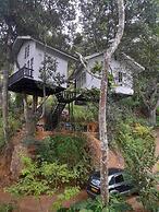 Tree Nature Resort