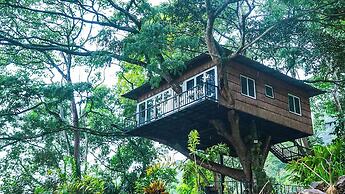 Tree Nature Resort