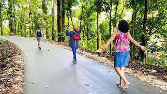 Tree Nature Resort