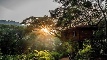Tree Nature Resort