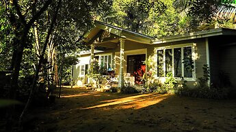 Tree Nature Resort