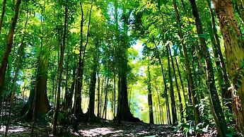 Tree Nature Resort