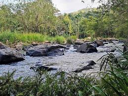 Tree Nature Resort