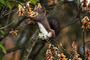 Hotel Seerösl Wörthersee Kärnten