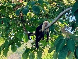Prime Hermosa: Ocean View Villa w/ Infinity Pool by RedAwning