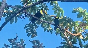 Prime Hermosa: Ocean View Villa w/ Infinity Pool by RedAwning