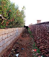 Chez Mohamed Bennouri