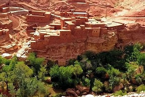 Chez Mohamed Bennouri