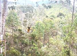 Finca Bienestar Hotel | The Medellin Retreat