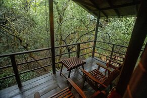Inn On The Tree Eco Resort Sigiriya