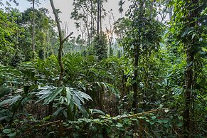 Coffee Routes Thekkady