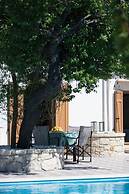 Silver Gem Villa With Private Pool