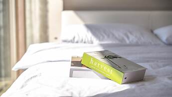 Hongcheon Noilgangmaeul Pet Pension