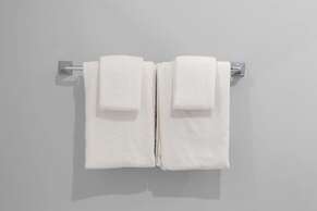 Sosuite 1BR Loft w Park View, W/d, Gym, Lounge