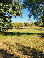 Thorn Tree House