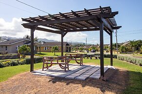 Areca 3B Oasis Drax Hall lot 221