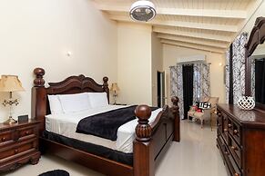 Areca 3B Oasis Drax Hall lot 221