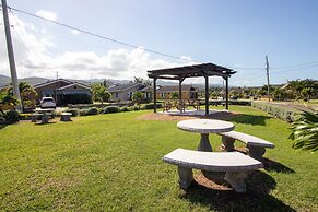 Areca 3B Oasis Drax Hall lot 221