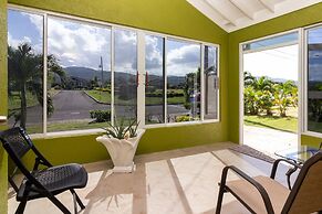 Areca 3B Oasis Drax Hall lot 221